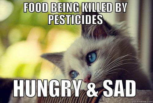 SAD KITTY - FOOD BEING KILLED BY PESTICIDES     HUNGRY & SAD    First World Problems Cat