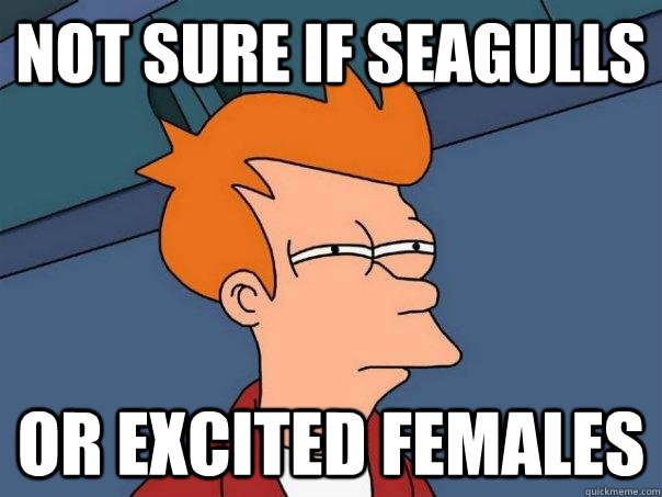 Not sure if seagulls Or excited females  Futurama Fry