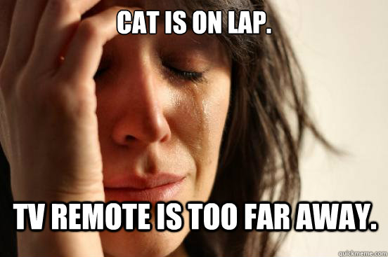 Cat is on lap.
 Tv remote is too far away.  First World Problems