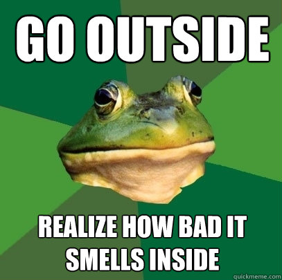 go outside realize how bad it smells inside  Foul Bachelor Frog