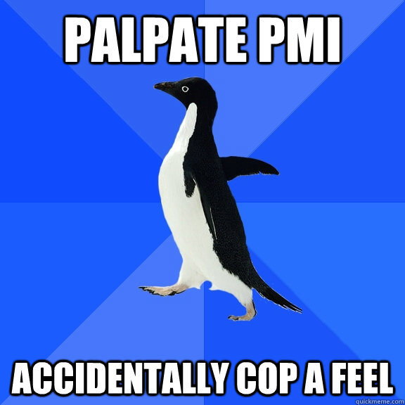 Palpate PMI Accidentally cop a feel  Socially Awkward Penguin