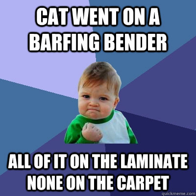 Cat went on a barfing bender all of it on the laminate none on the carpet  Success Kid