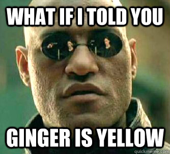 what if i told you ginger is yellow  Matrix Morpheus