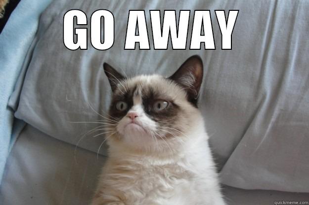 GO AWAY  Grumpy Cat