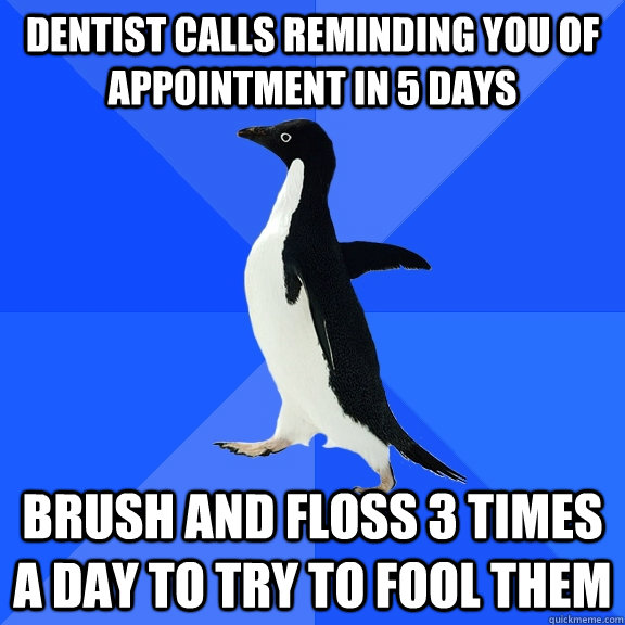 Dentist calls reminding you of appointment in 5 days Brush and floss 3 times a day to try to fool them  Socially Awkward Penguin