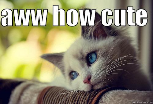 cute cat - AWW HOW CUTE   First World Problems Cat