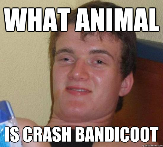 What animal  is Crash Bandicoot  Really High Guy