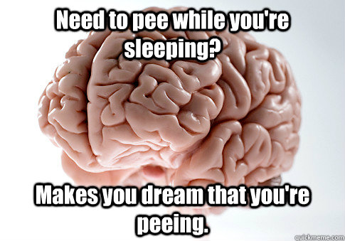 Need to pee while you're sleeping? Makes you dream that you're peeing.   Scumbag Brain