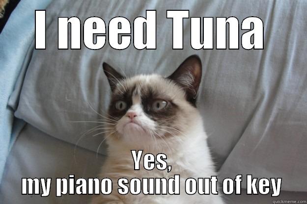 Fish for cat - I NEED TUNA YES, MY PIANO SOUND OUT OF KEY Grumpy Cat