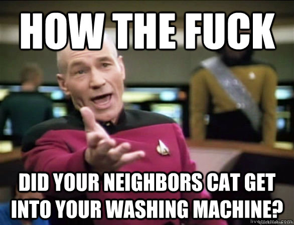 How the fuck did your neighbors cat get into your washing machine?  Annoyed Picard HD