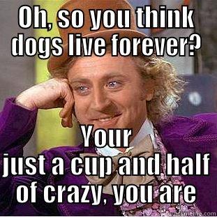 OH, SO YOU THINK DOGS LIVE FOREVER? YOUR JUST A CUP AND HALF OF CRAZY, YOU ARE Condescending Wonka