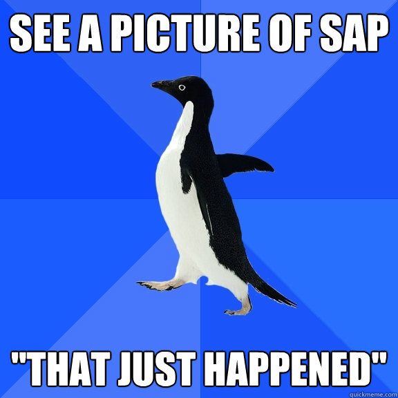 See a picture of SAP 