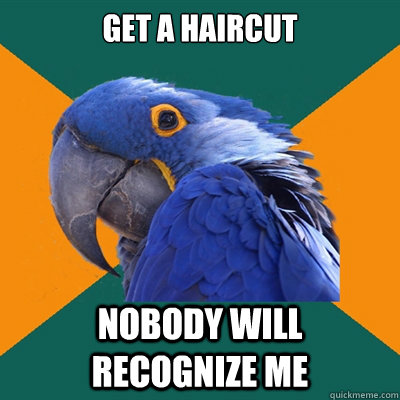 Get a haircut Nobody will recognize me  Paranoid Parrot