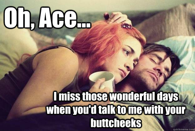 Oh, Ace... I miss those wonderful days when you'd talk to me with your buttcheeks  