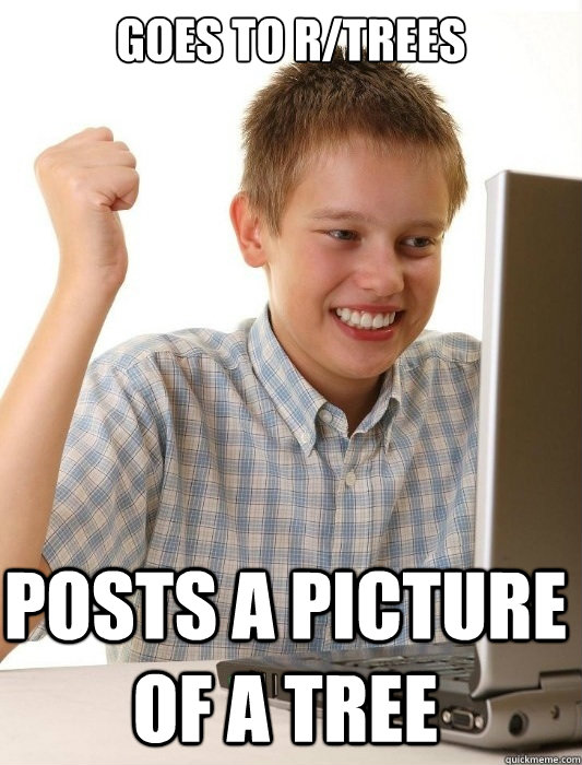 goes to r/trees posts a picture of a tree  First Day on the Internet Kid