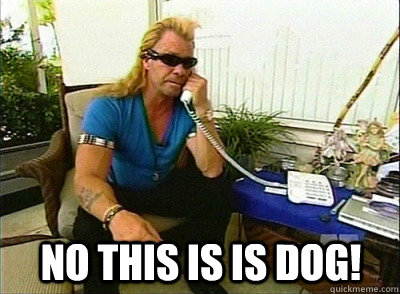 No this is is Dog!  Dog The Bounty Hunter