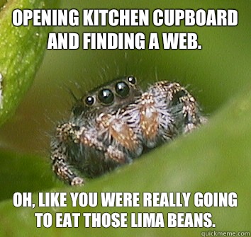 Opening kitchen cupboard and finding a web. Oh, like you were really going to eat those lima beans.  Misunderstood Spider