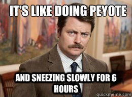 It's like doing peyote
 and sneezing slowly for 6 hours  Ron Swanson