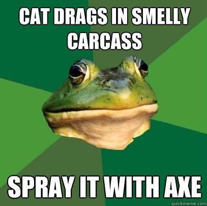 Cat drags in smelly carcass spray it with axe  Foul Bachelor Frog