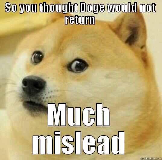 SO YOU THOUGHT DOGE WOULD NOT RETURN MUCH MISLEAD Misc