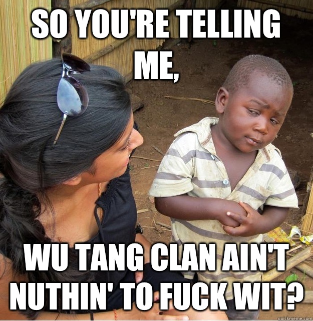 So you're telling me, Wu Tang Clan ain't nuthin' to fuck wit?  Skeptical Third World Kid