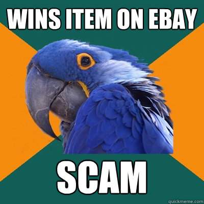 wins item on ebay scam  Paranoid Parrot