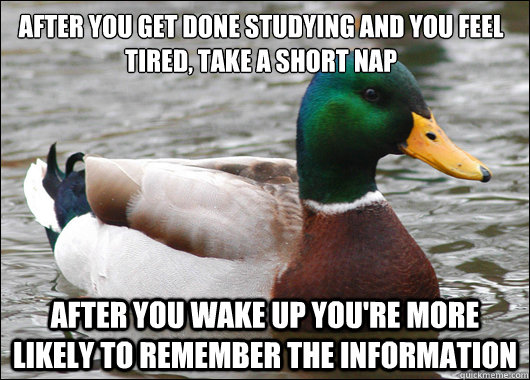 After you get done studying and you feel tired, take a short nap After you wake up you're more likely to remember the information  Actual Advice Mallard