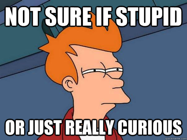 Not sure if stupid or just really curious  Futurama Fry