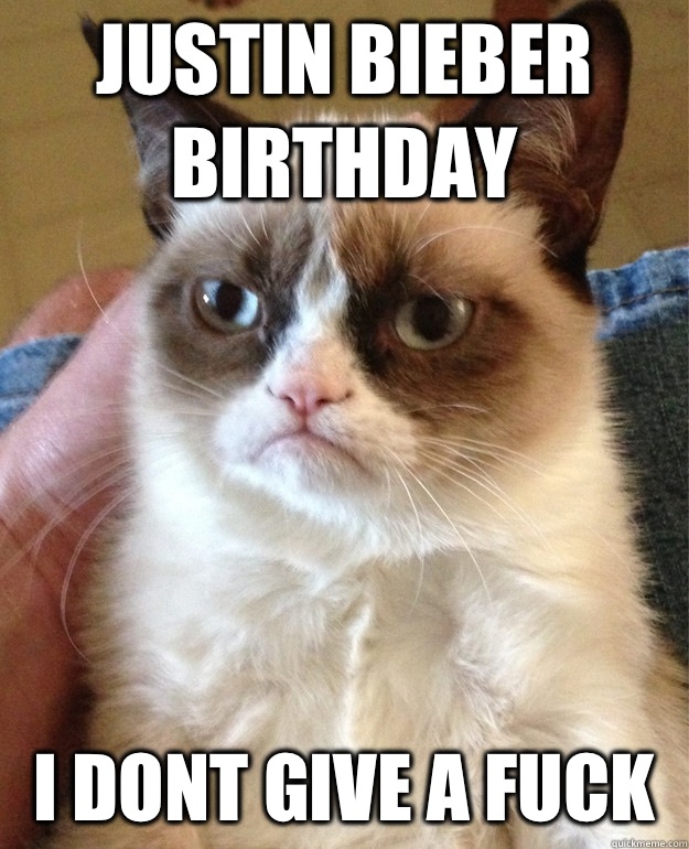 Justin Bieber Birthday I Dont Give A Fuck  mean cat