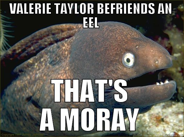 VALERIE TAYLOR BEFRIENDS AN EEL THAT'S A MORAY Bad Joke Eel