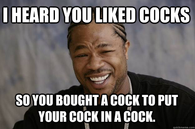 I heard you liked cocks So you bought a cock to put your cock in a cock.  Xzibit meme