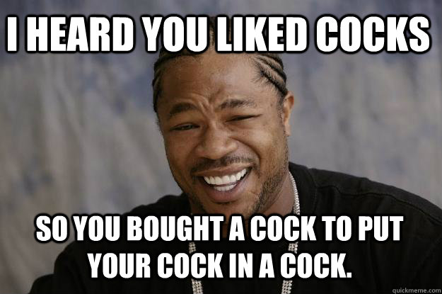I heard you liked cocks So you bought a cock to put your cock in a cock.  Xzibit meme