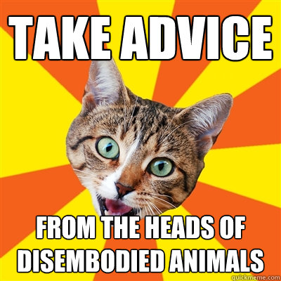 take advice from the heads of disembodied animals  Bad Advice Cat