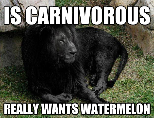 Is carnivorous really wants watermelon  Black Lion Problems
