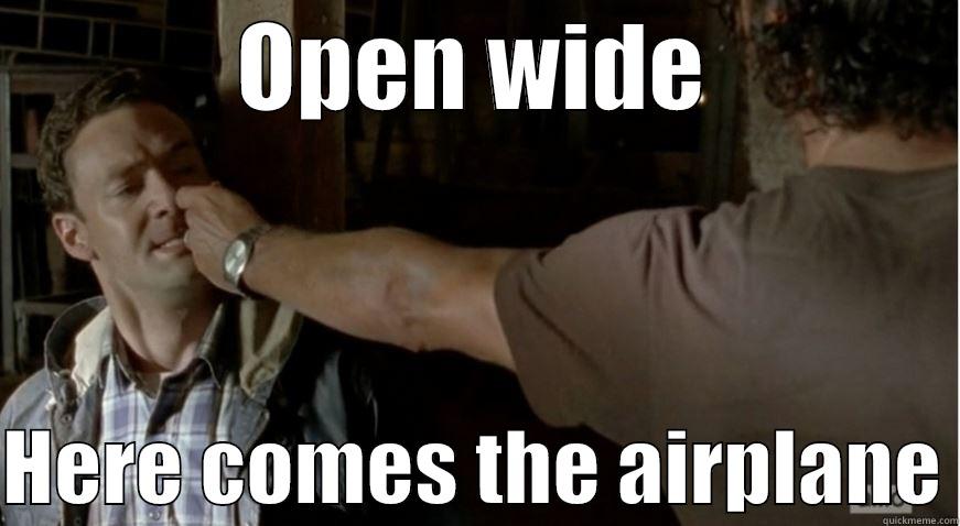 OPEN WIDE  HERE COMES THE AIRPLANE Misc