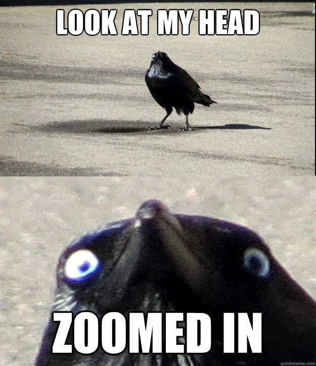 Look at my head zoomed in  Insanity Crow