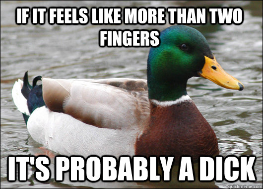 if it feels like more than two fingers  it's probably a dick  Actual Advice Mallard
