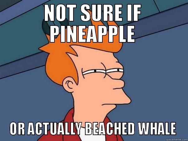 NOT SURE IF PINEAPPLE OR ACTUALLY BEACHED WHALE Futurama Fry