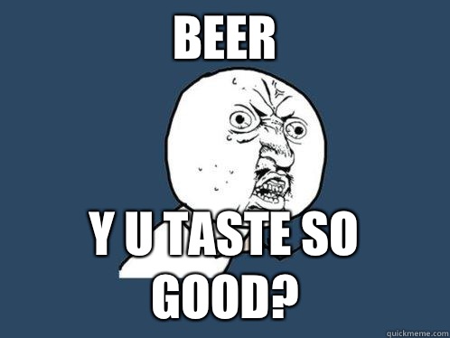 beer y u taste so good? - beer y u taste so good?  Y U No