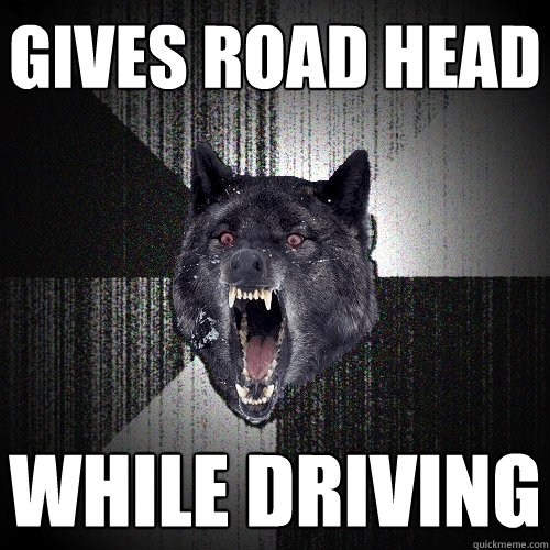 gives road head while driving  - gives road head while driving   Insanity Wolf
