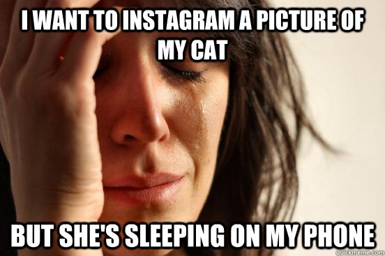 I want to Instagram a picture of my cat But she's sleeping on my phone  First World Problems