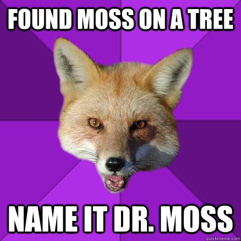 Found moss on a tree name it Dr. Moss  Forensics Fox