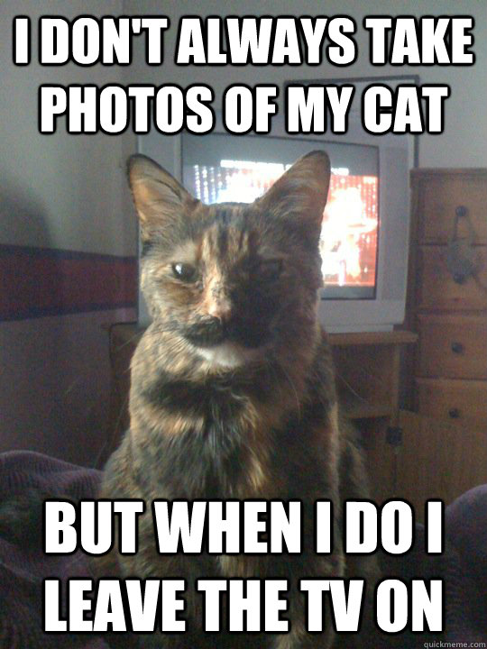I don't always take photos of my cat But when I do I leave the tv on  The Most Interesting Cat in the World