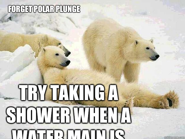 Try taking a shower when a water main is busted  Forget Polar Plunge - Try taking a shower when a water main is busted  Forget Polar Plunge  BI POLAR BEAR