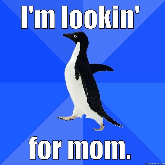 I'M LOOKIN' FOR MOM. Socially Awkward Penguin
