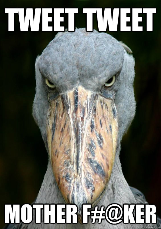 Tweet tweet mother f#@ker - Tweet tweet mother f#@ker  actually angry bird