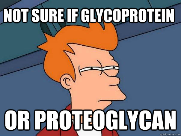 Not sure if glycoprotein Or proteoglycan  Futurama Fry