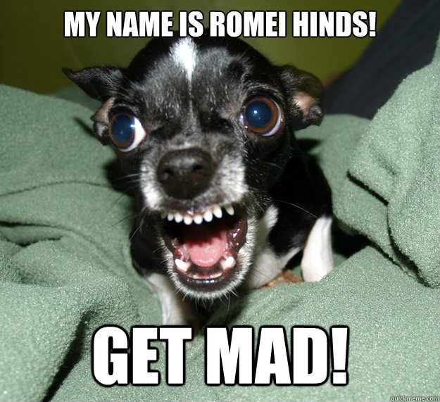 My name is Romei Hinds! Get mad!  Chihuahua Logic