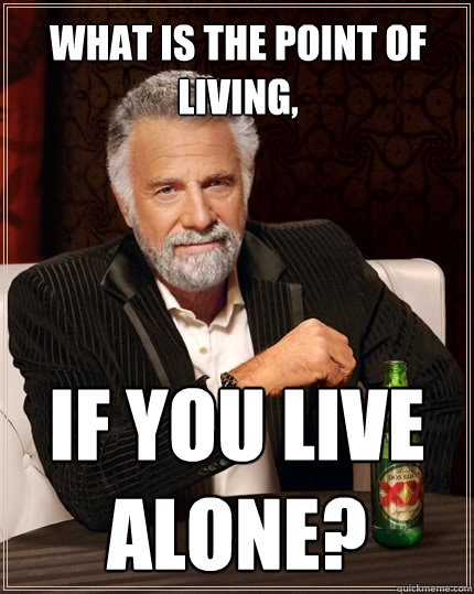 What is the point of living, If you live alone?  The Most Interesting Man In The World