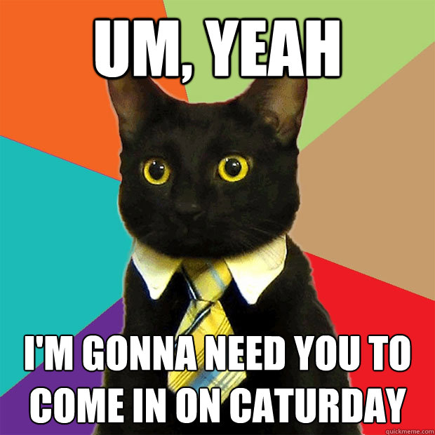 Um, yeah I'm gonna need you to come in on caturday  Business Cat